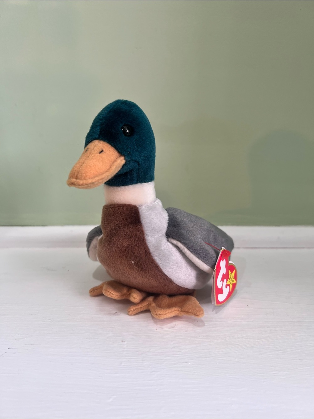 Ty Beanie Babies Collection - Jake the Mallard